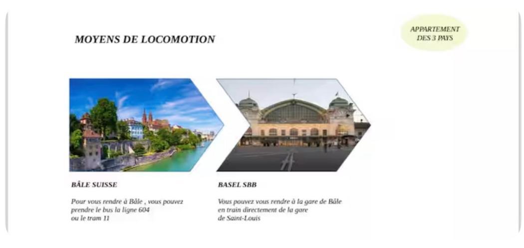 Appartement Des 3 Pays. 2 Mn De Bale+ Free Parking Saint-Louis  Dış mekan fotoğraf
