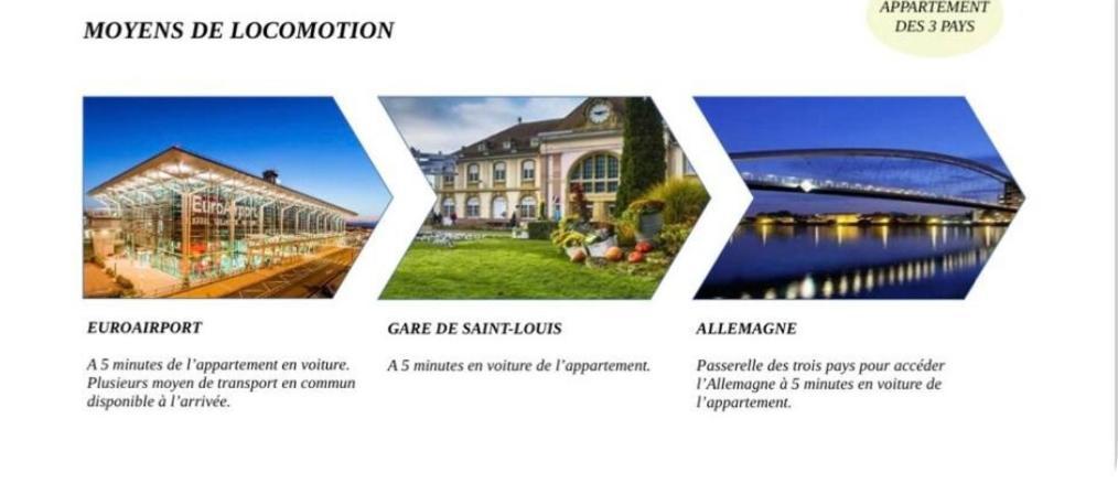 Appartement Des 3 Pays. 2 Mn De Bale+ Free Parking Saint-Louis  Dış mekan fotoğraf