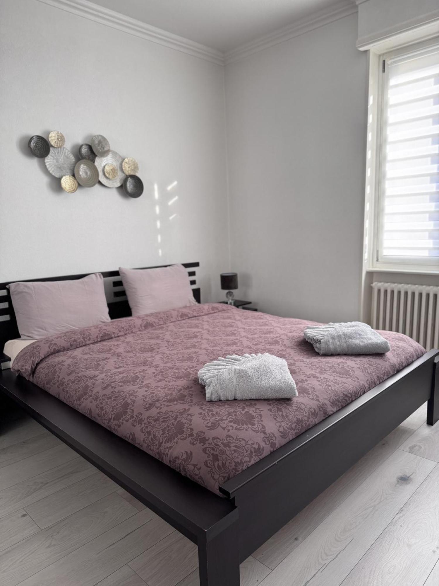 Appartement Des 3 Pays. 2 Mn De Bale+ Free Parking Saint-Louis  Dış mekan fotoğraf